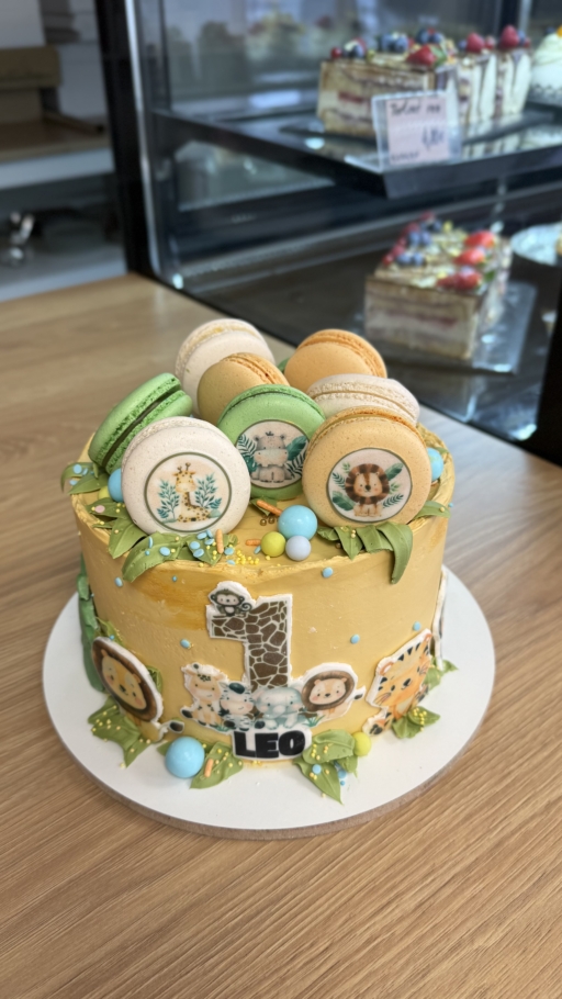 Alternative view of TORTA 2.1 Džungla