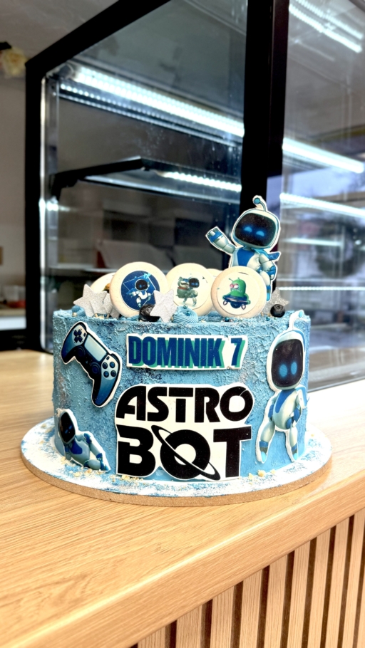 TORTA Astro Bot
