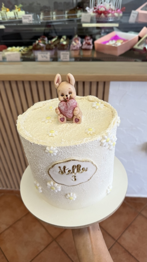 Alternative view of TORTA 2.1 Zajko